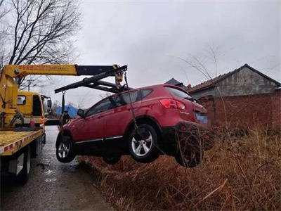 大安楚雄道路救援